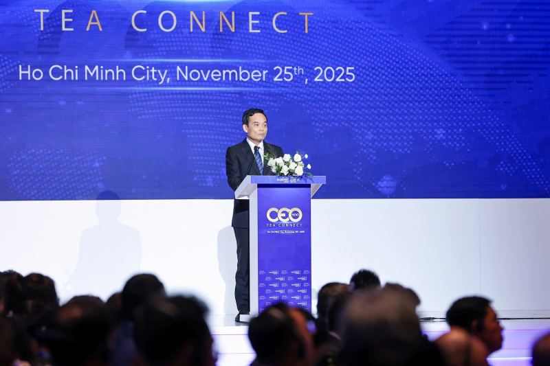 TP Hồ Chí Minh hướng đến siêu đô thị quốc tế trong kỷ nguyên số -0