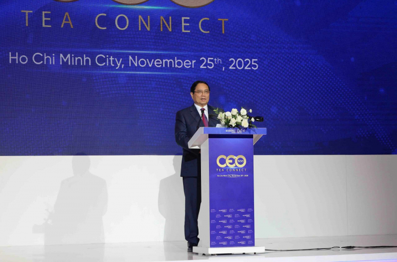 TP Hồ Chí Minh hướng đến siêu đô thị quốc tế trong kỷ nguyên số -0