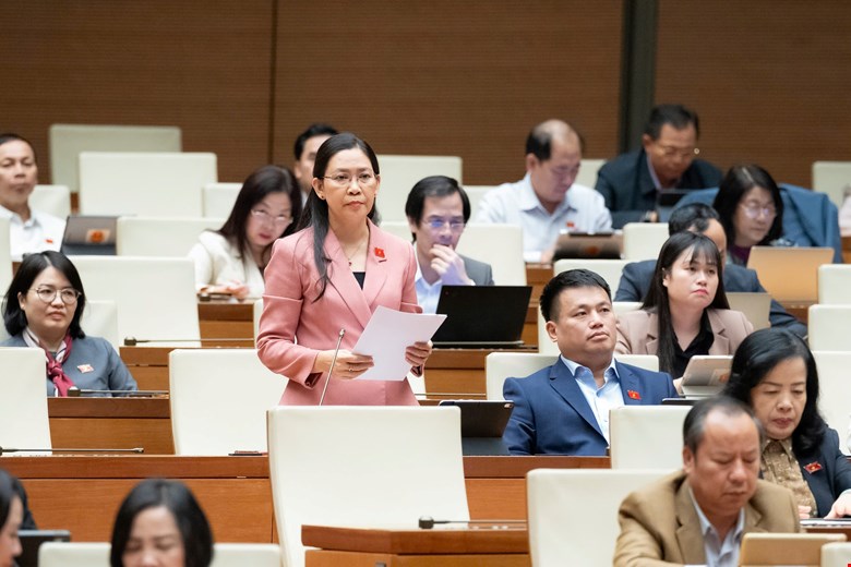 Lập văn phòng đại diện của UBND cấp tỉnh ở nước ngoài, nên hay không? -0