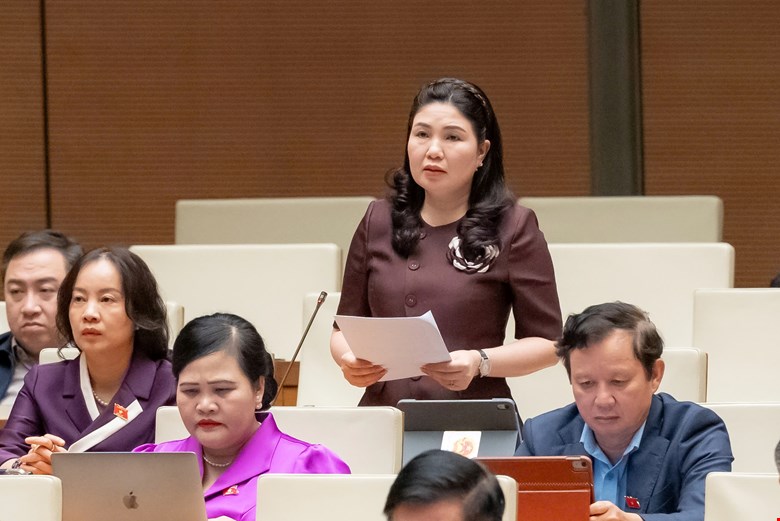 Lập văn phòng đại diện của UBND cấp tỉnh ở nước ngoài, nên hay không? -0