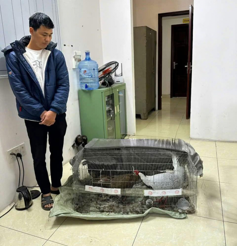 anh bai pham an.jpg -0