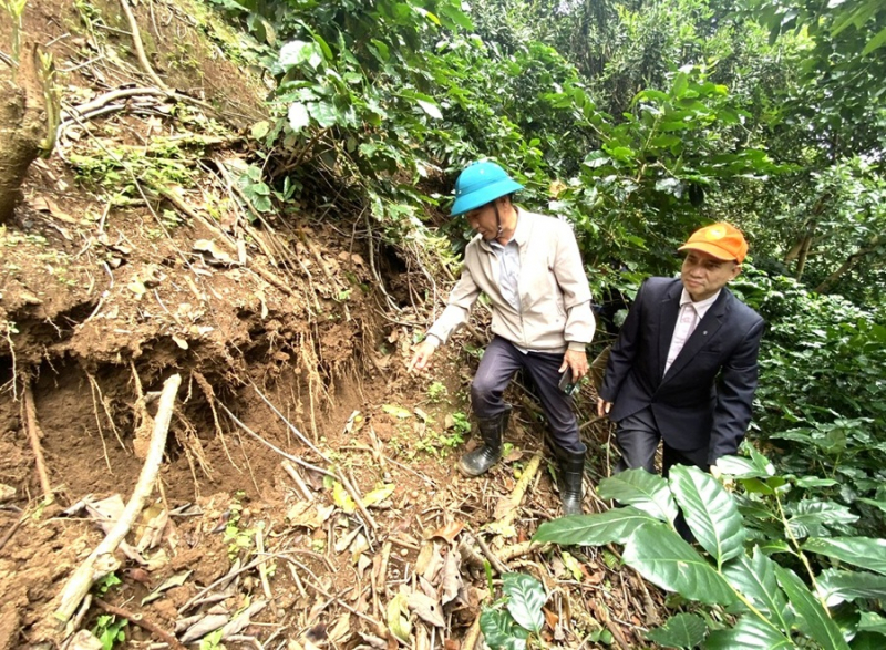 Viện Hàn lâm Khoa học và Công nghệ Việt Nam kiểm tra sạt trượt ở Lâm Đồng -0