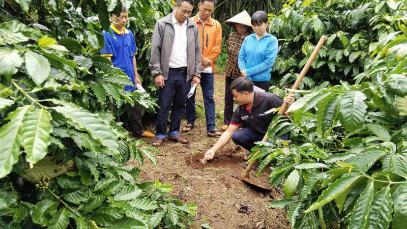 Hợp tác thúc đẩy tăng trưởng bền vững và hiện thực hóa mục tiêu Net Zero tại Việt Nam -0