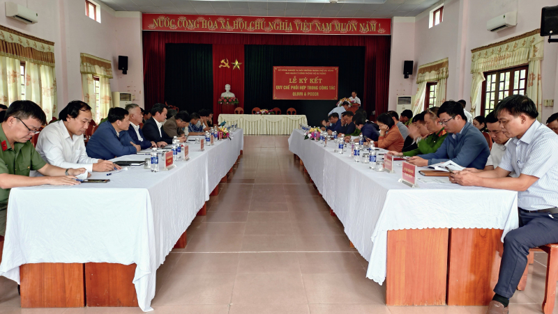 ダナンにおける森林管理と保護の連携強化 -0