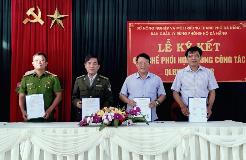 ダナンにおける森林管理と保護の連携強化 -0