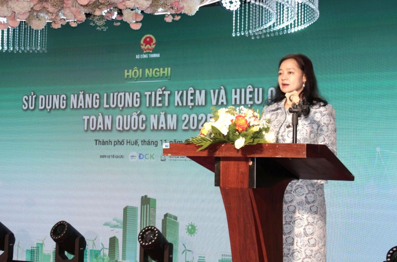 Thúc đẩy nỗ lực chung của Việt Nam trong đảm bảo an ninh năng lượng, chuyển đổi xanh  -0