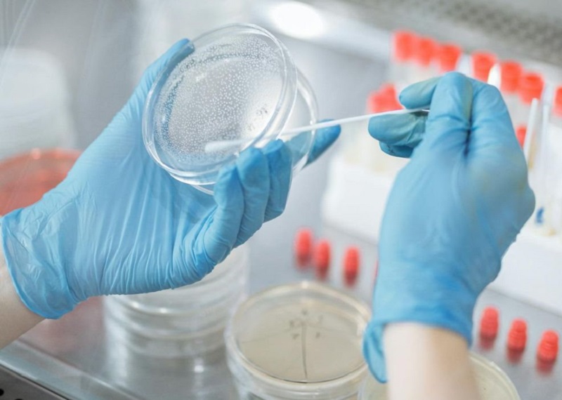 Cuộc truy lùng “bóng ma Heilbronn” -0