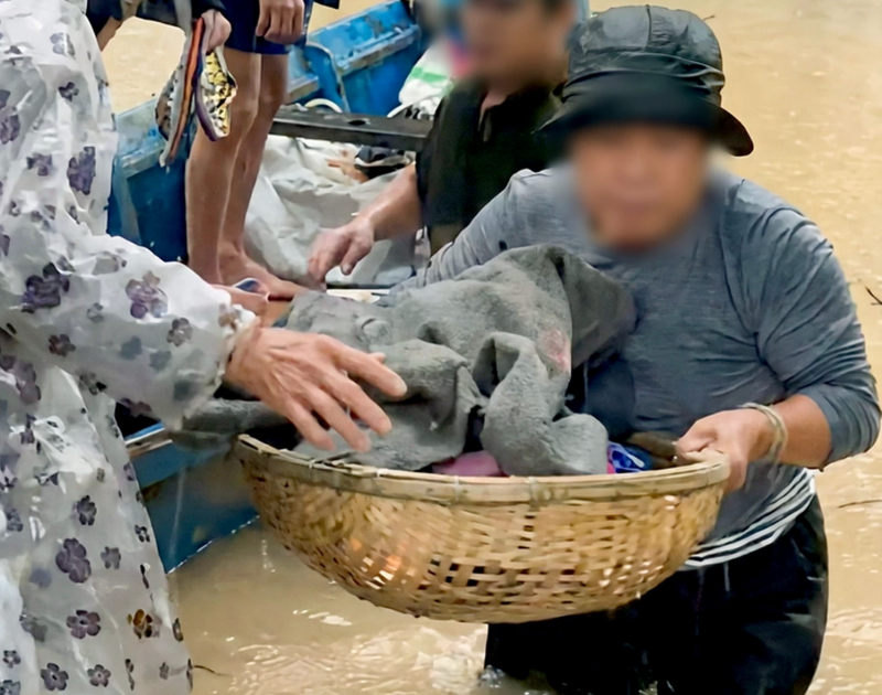 Nhân viên y tế không cho người mẹ và đứa bé sơ sinh vào trạm y tế tránh lũ đã nhận lỗi -0