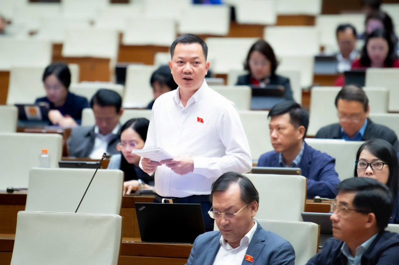 Đất hiếm sẽ thực sự trở thành tài nguyên quan trọng để khai thác, phát triển đất nước -0