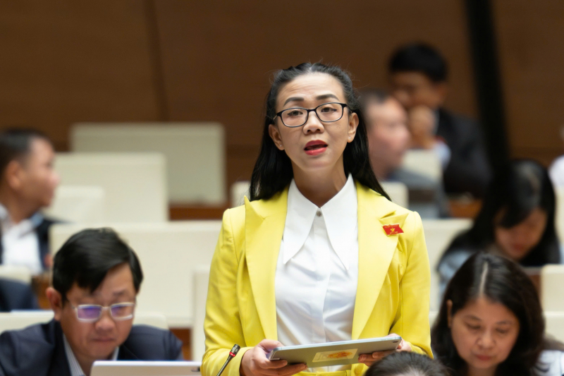 Đất hiếm sẽ thực sự trở thành tài nguyên quan trọng để khai thác, phát triển đất nước -2