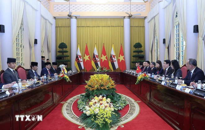Tăng cường hiệu quả quan hệ Đối tác toàn diện Việt Nam-Brunei -0