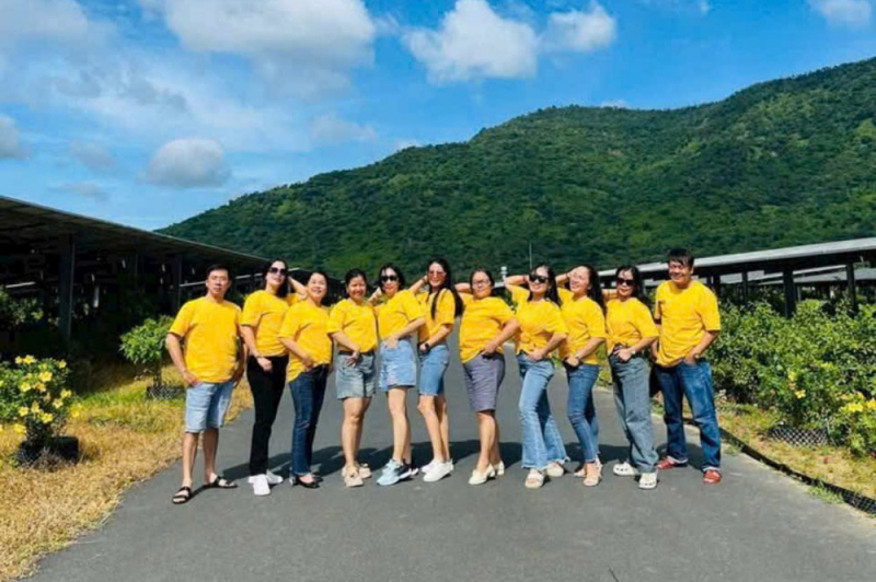 Câu chuyện kỳ thú về “Rừng pin mặt trời” dưới chân Núi Cấm -0