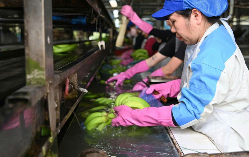 VRG củng cố vị thế Tập đoàn nông nghiệp - công nghiệp hàng đầu với những bước tiến mạnh mẽ trong năm 2025 -0