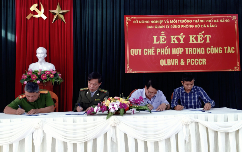 Дананг увеличивает использование технологий и специализированных сил для защиты лесов -0