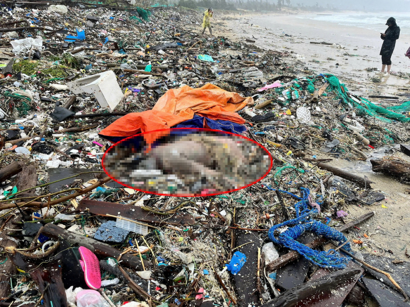 Op zoek naar de verblijfplaats van de vrouw die naar het noordoostelijke strand van de provincie Dak Lak is gedreven -0