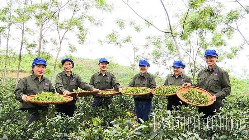 Hướng tới nền nông nghiệp hiện đại, chất lượng và giá trị cao -0