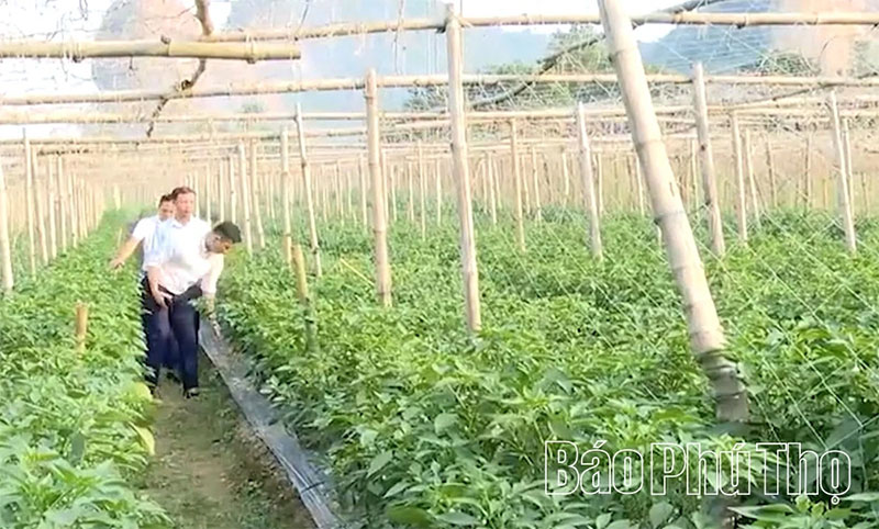 Hướng tới nền nông nghiệp hiện đại, chất lượng và giá trị cao -0