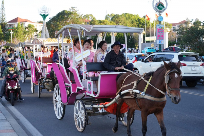 Đà Lạt bừng lên sắc màu nghệ thuật TEA CARNIVAL -4