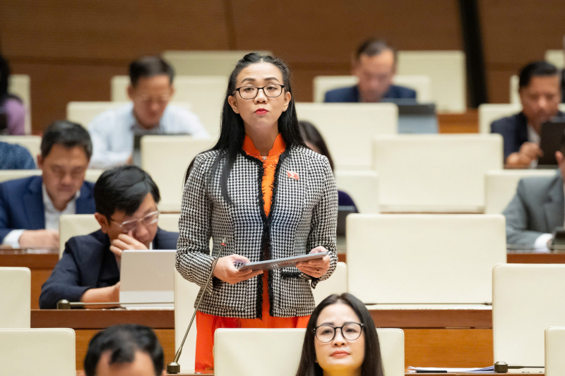 trịnh thị tú anh.jpg -0