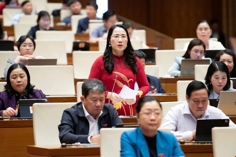 Đại biểu đánh giá cao Bộ Công an đấu tranh trấn áp tội phạm, bóc gỡ nhiều vụ hàng giả -0