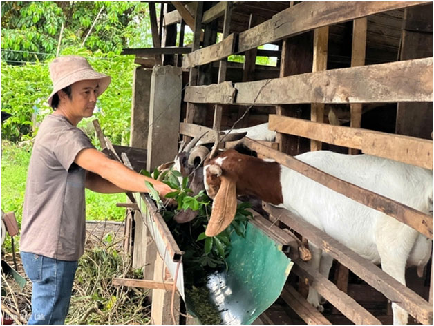 Xã Ea M’Droh tạo sinh kế bền vững từ Chương trình 1719 -0