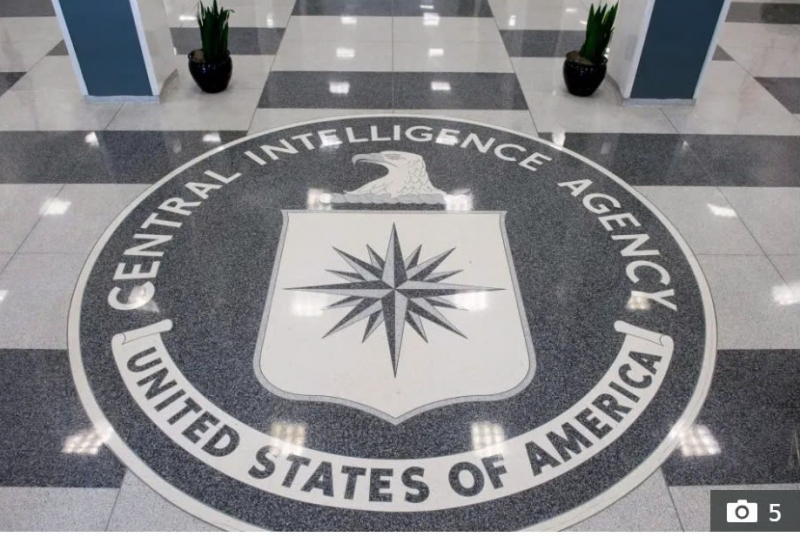 Cái chết của chú mèo  đắt nhất hành tinh  -0