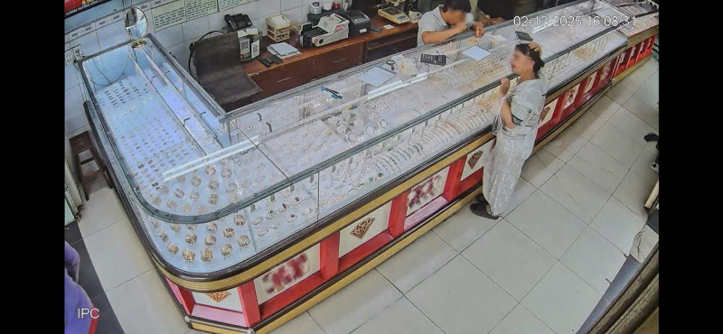 Bắt người giúp việc trộm lắc vàng, dây chuyền của chủ nhà, giấu trong bồn vệ sinh -1