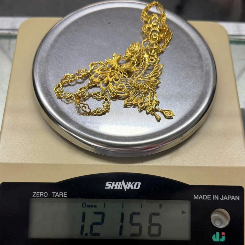 Bắt người giúp việc trộm lắc vàng, dây chuyền của chủ nhà, giấu trong bồn vệ sinh -2