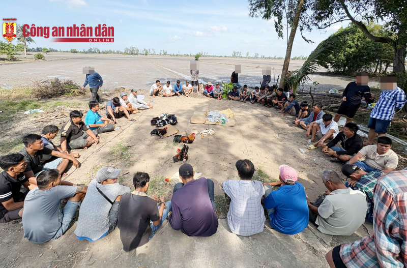 Triệt phá trường gà, tạm giữ 23 đối tượng  -0