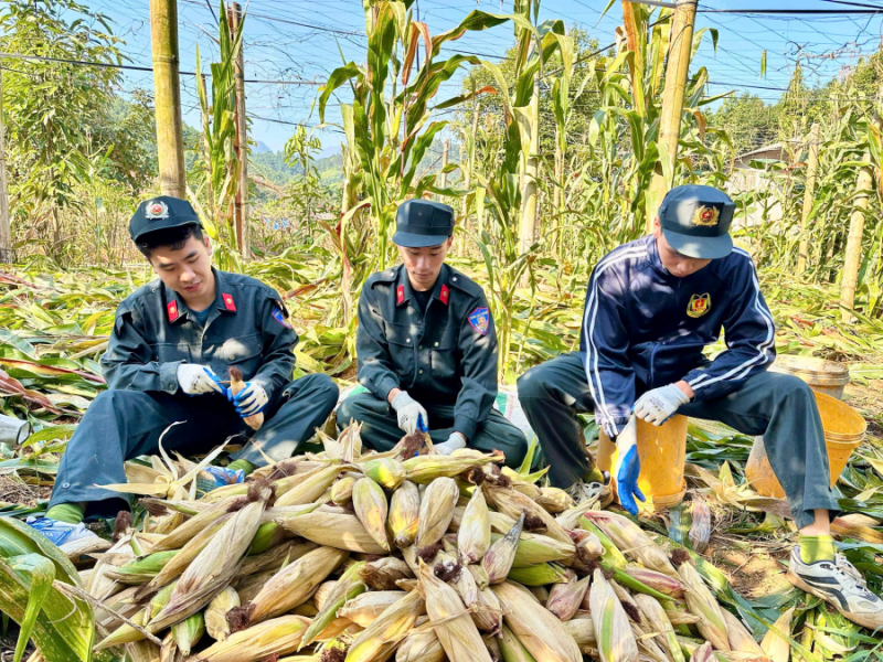Trường Cao đẳng CSND I tổ chức nhiều hoạt động ý nghĩa hỗ trợ nhân dân tại Lào Cai -0