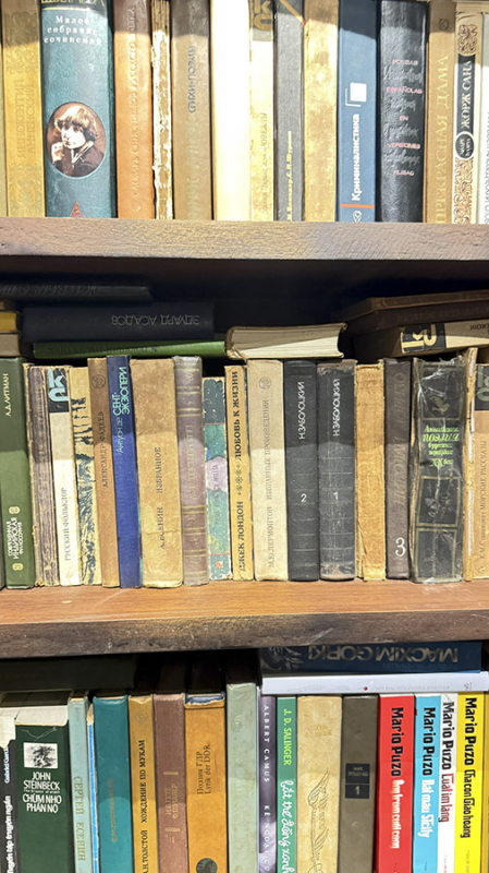 Giai điệu Nga trong thơ Hồng Thanh Quang -0