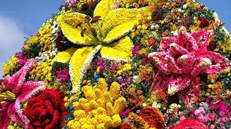 Bó hoa 10 tấn ở Đà Lạt xác lập Kỷ lục Việt Nam -0