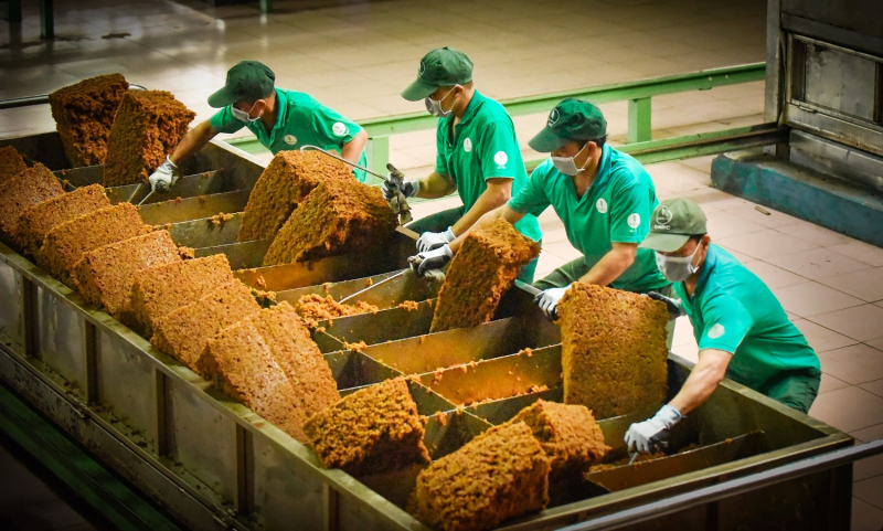 Tập đoàn Công nghiệp Cao su Việt Nam thông báo tuyển dụng -0