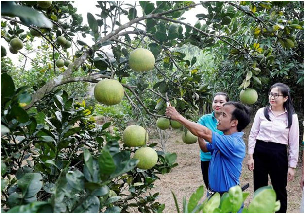 Vốn tín dụng chính sách xã hội góp phần giảm nghèo, thoát bẫy “tín dụng đen” -0