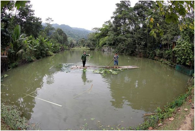 Vốn tín dụng chính sách xã hội góp phần giảm nghèo, thoát bẫy “tín dụng đen” -0