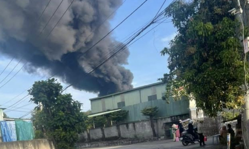 ក្រុមហ៊ុនឈើមួយកន្លែងដែលមានទំហំជាង ១៥០០ ម៉ែត្រការ៉េត្រូវបានឆេះ និងដួលរលំ។