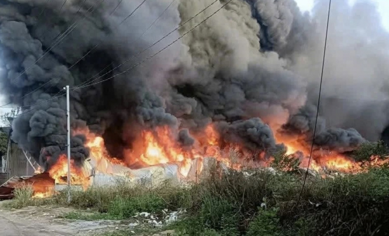 ក្រុមហ៊ុនឈើមួយកន្លែងដែលមានទំហំជាង ១៥០០ ម៉ែត្រការ៉េត្រូវបានឆេះ និងដួលរលំ។