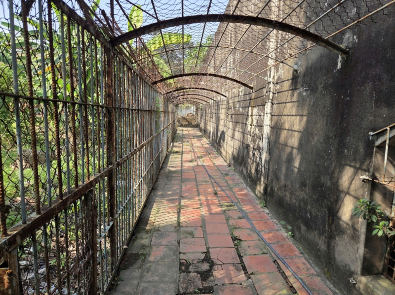 Phát hiện một cơ sở nuôi nhốt nhiều động vật hoang dã ở TP Hồ Chí Minh  -0