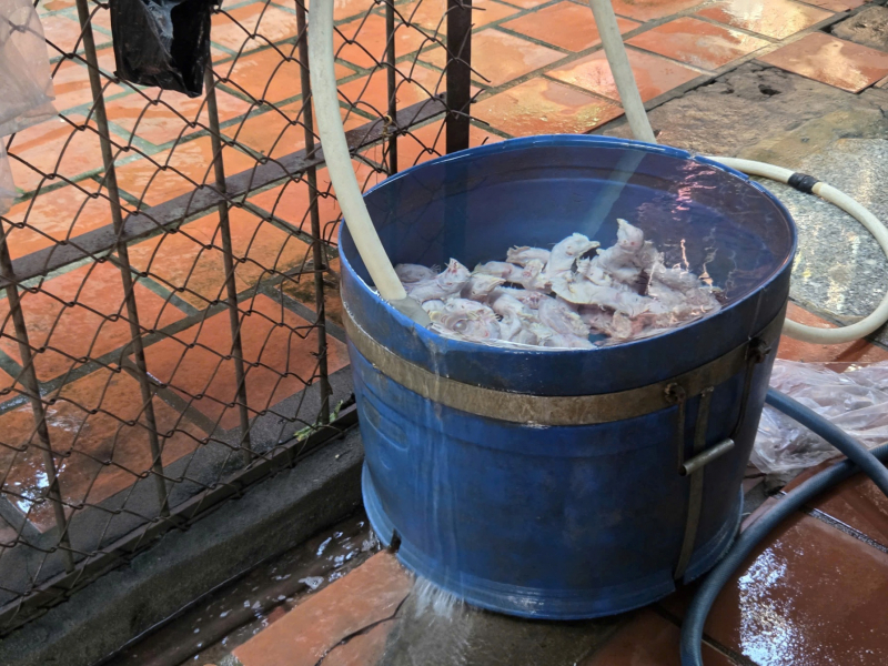 Phát hiện một cơ sở nuôi nhốt nhiều động vật hoang dã ở TP Hồ Chí Minh  -3