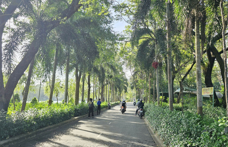 Quản lý, bảo vệ “vào hùa” đốn hạ 42 cây xanh ở Khu văn hóa hồ Nước Ngọt -0