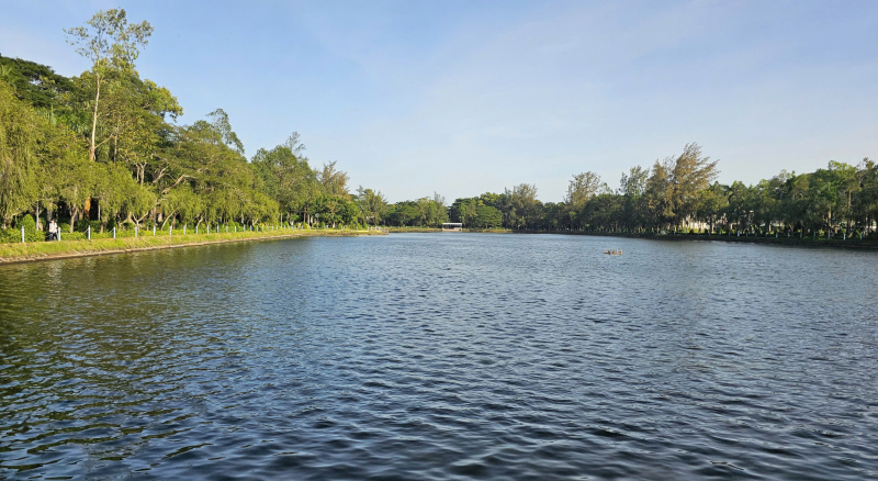 Quản lý, bảo vệ “vào hùa” đốn hạ 42 cây xanh ở Khu văn hóa hồ Nước Ngọt -1