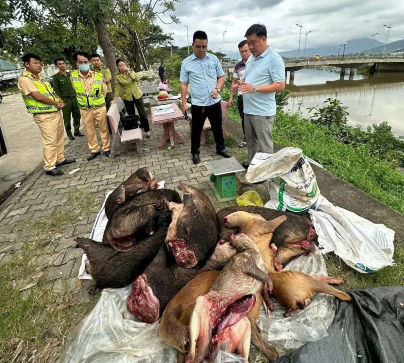 Đà Nẵng: Bắt giữ xe khách vận chuyển số lượng lớn thịt động vật nghi rừng quý hiếm -1
