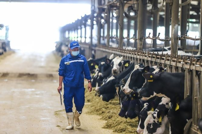 Xây dựng chuỗi thực phẩm sạch, khép kín từ trang trại đến bàn ăn -0