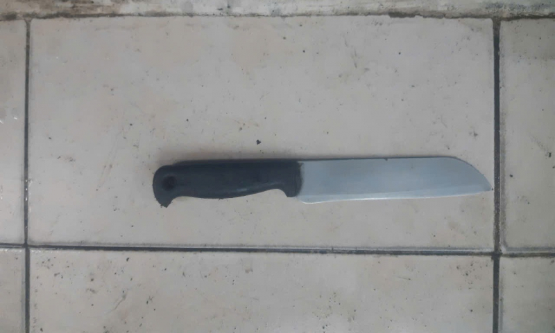 Bắt giữ hai đối tượng dùng dao khống chế người phụ nữ cướp tài sản giữa đêm khuya  -1