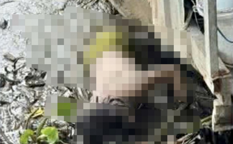 2 bé gái mất tích được phát hiện tử vong bất thường dưới sông Cần Giuộc -0