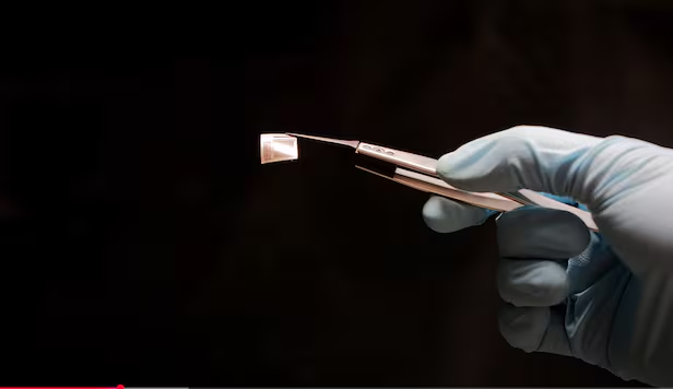 Thiết bị cấy ghép  giúp con người kết nối với AI -0