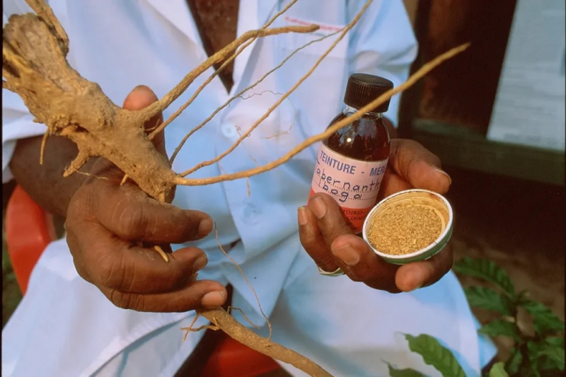 Ibogaine và câu chuyện pháp lý -0