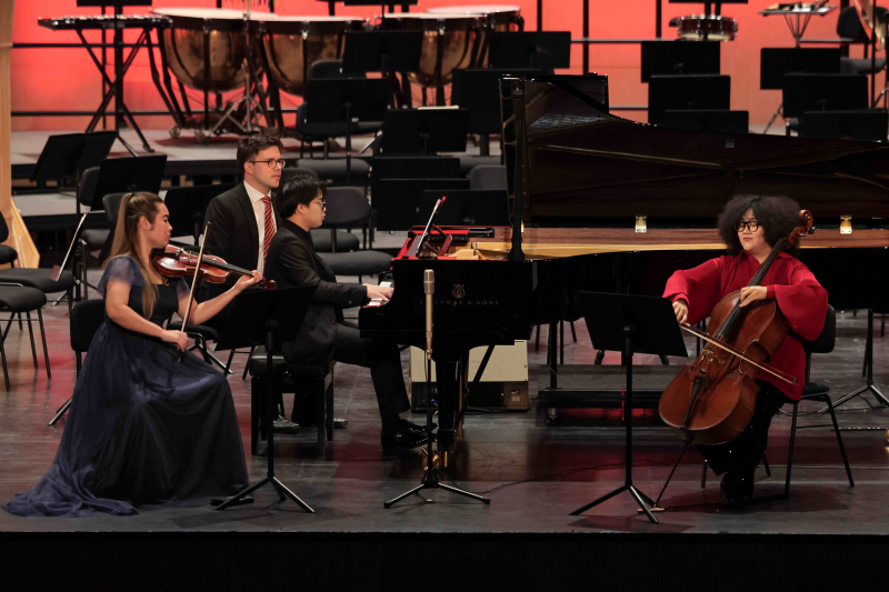 Nghệ sĩ Việt – Đức thăng hoa cùng “Tấu khúc không lời - A Wordless Rhapsody” -0