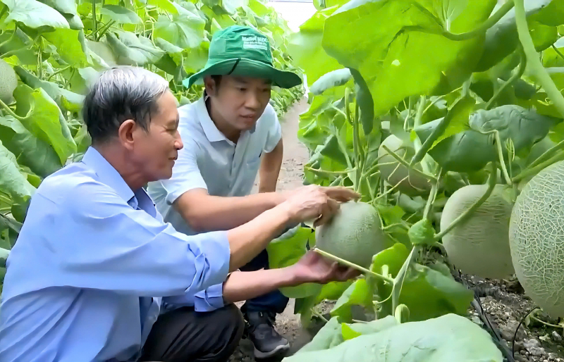 Xây dựng ngành nông nghiệp hiện đại,  hiệu quả cho siêu đô thị TP Hồ Chí Minh -0
