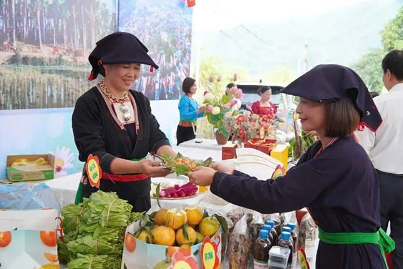 ảnh 1 bài 1 mục 7.jpg -0